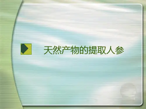 天然产物的提取人参(精选优秀)PPT