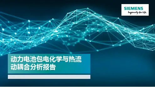 276454_东风汽车动力电池包电化学与热流动耦合分析报告