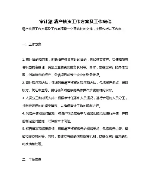 审计猿 清产核资工作方案及工作底稿