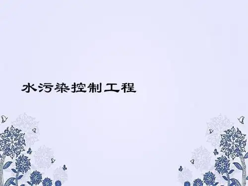 水资源污染现状PPT课件