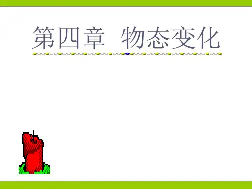 物理：人教新课标八年级上 第四章物态变化(课件)2
