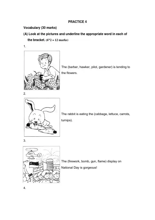 新加坡小学一年级英语试PRACTICE4