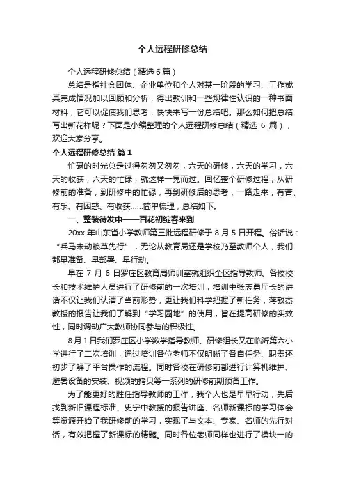 个人远程研修总结