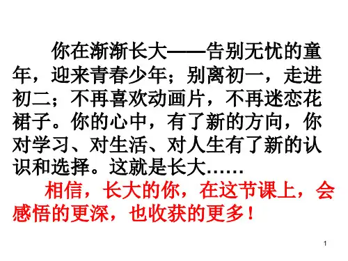 15随笔化作文我的五样PPT课件
