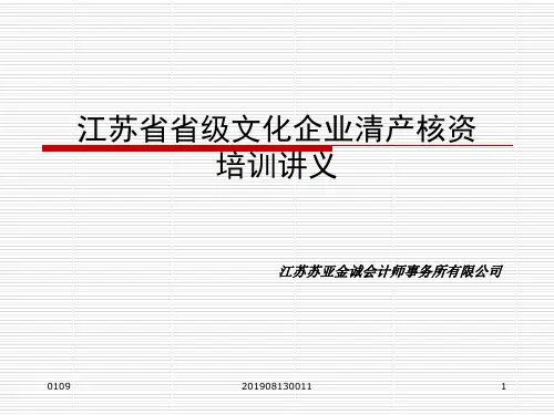 江苏省省级文化企业清产核资培训讲义-68页PPT资料