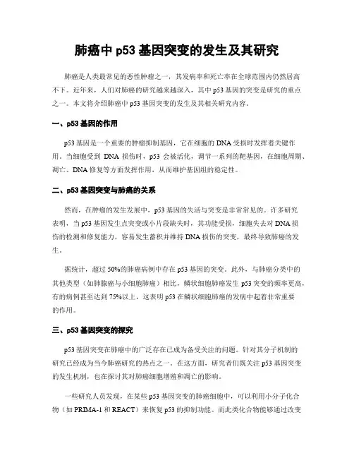 肺癌中p53基因突变的发生及其研究