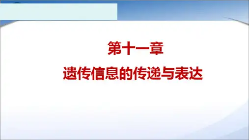 遗传信息传递与表达ppt