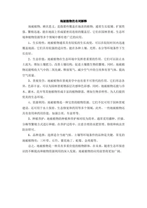 地被植物的名词解释