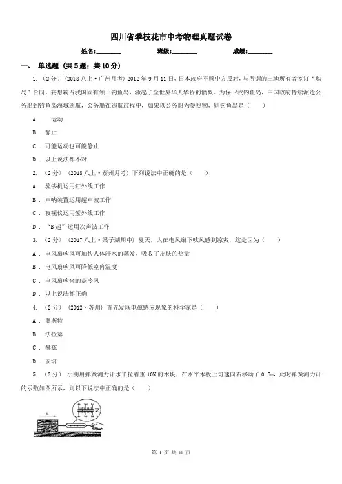 四川省攀枝花市中考物理真题试卷