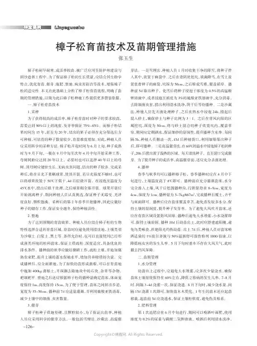 樟子松育苗技术及苗期管理措施