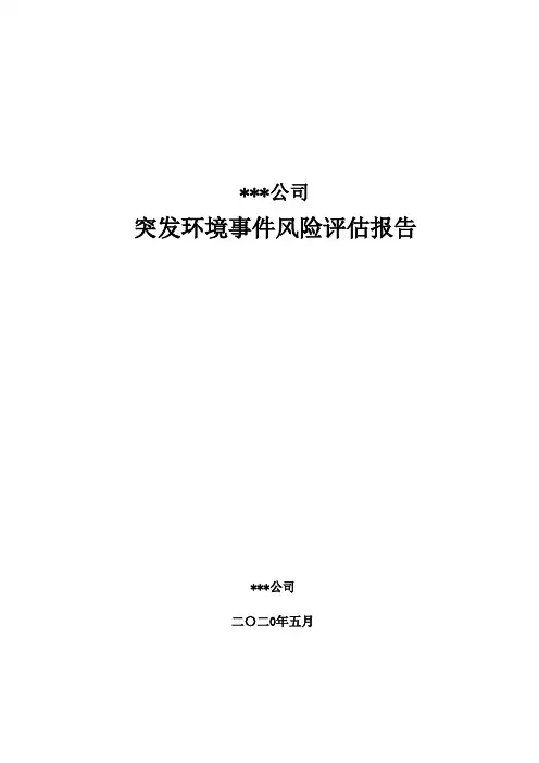 突发环境事件风险评估报告.doc