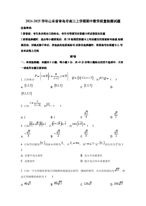 2024-2025学年山东省青岛市高三上学期期中数学质量检测试题(含解析)