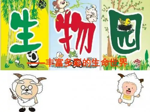 丰富多彩的生命世界复习课