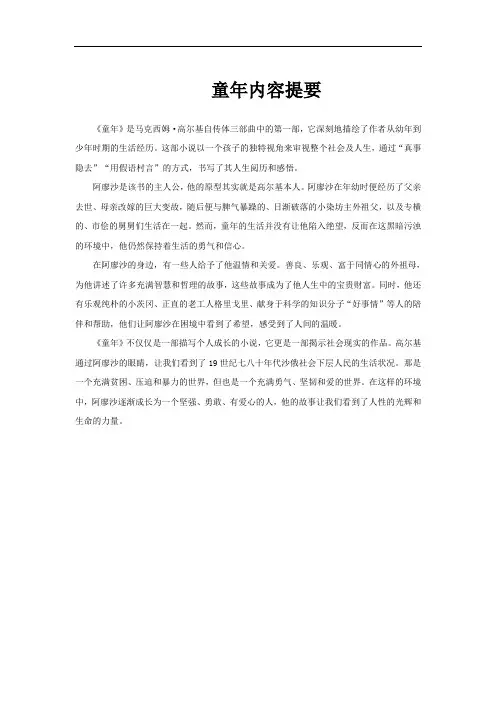 童年内容提要
