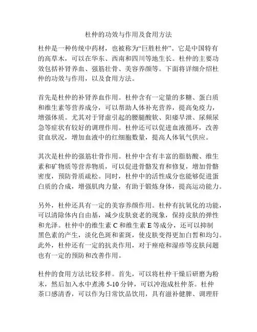 杜仲的功效与作用及食用方法