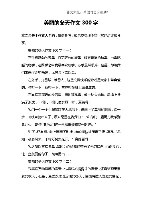 美丽的冬天作文300字