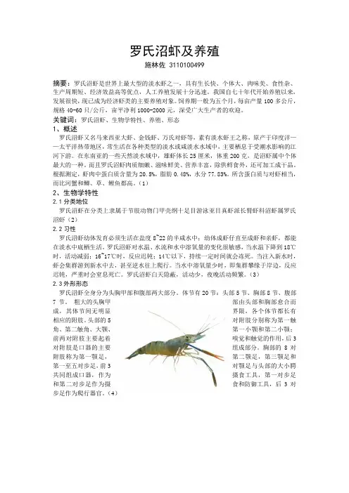 罗氏沼虾