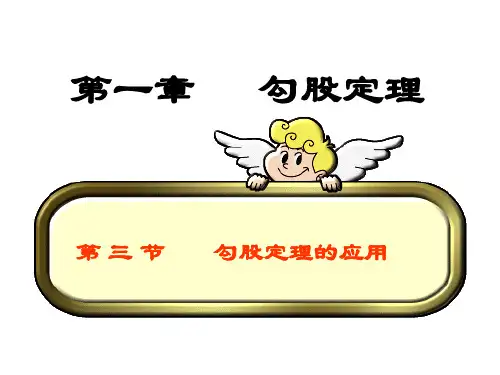 北师大版八年级数学上册 1.3 勾股定理的应用 (共41张PPT)