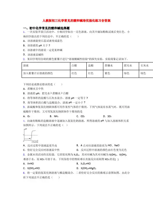 人教版初三化学常见的酸和碱培优强化练习含答案