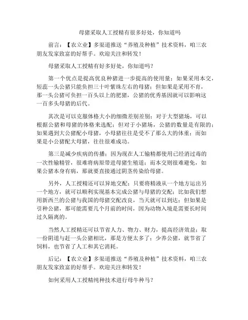 母猪采取人工授精有很多好处,你知道吗