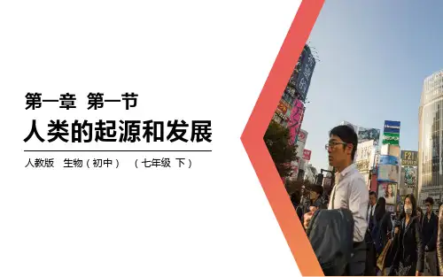 《人类的起源和发展》PPT精品课件