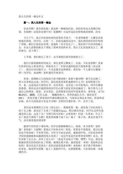我人生的第一桶金作文