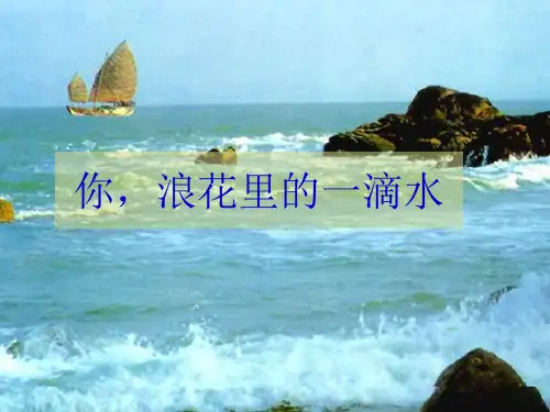 北师大版六年级下册《浪花里的一滴水》ppt课件