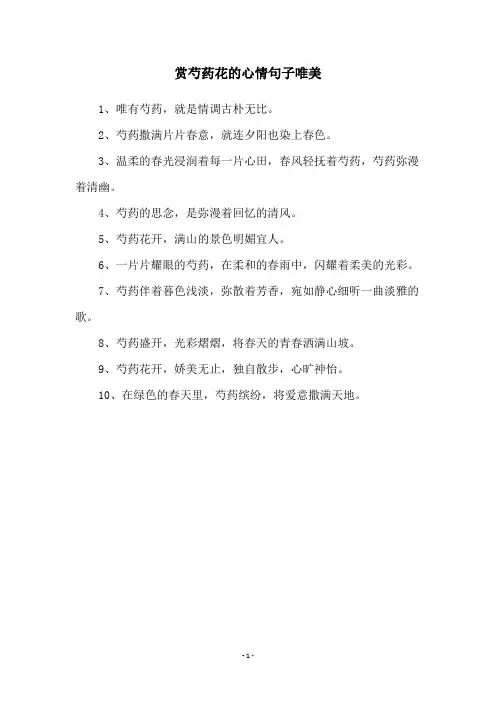 赏芍药花的心情句子唯美