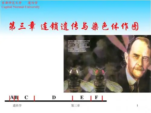 第三章 连锁遗传与染色体作图1