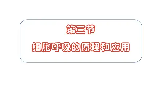 5.3细胞呼吸的原理和应用(第一课时)课件高一上学期生物人教版必修1