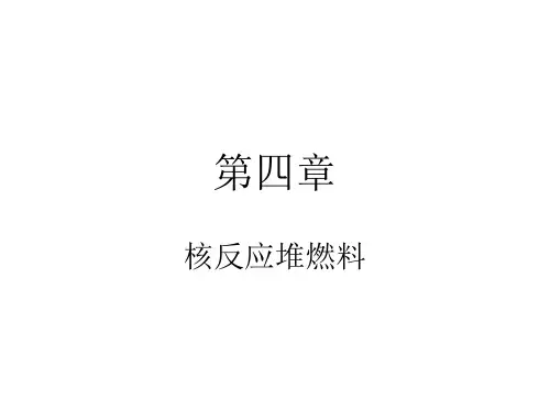 核电厂核燃料ppt介绍原理