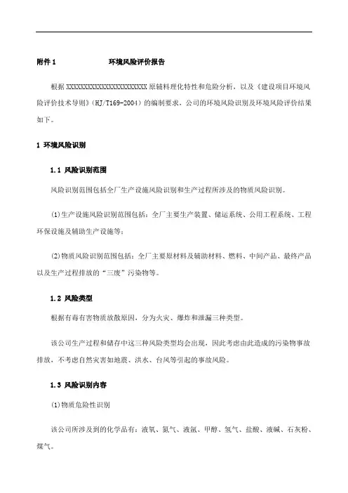 环境风险评价报告
