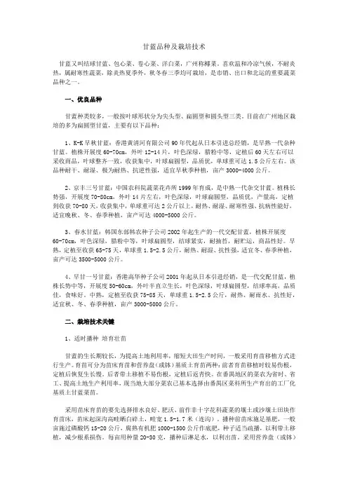 甘蓝品种及栽培技术