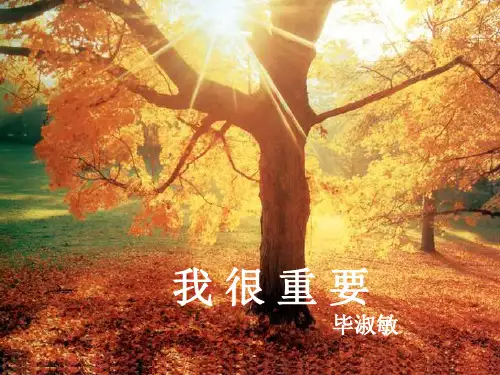 我很重要(PPT)