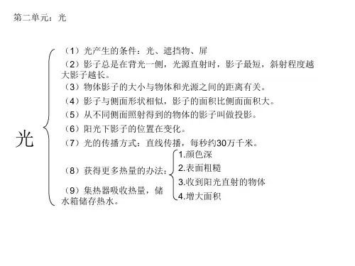五上科学第二单元思维导图