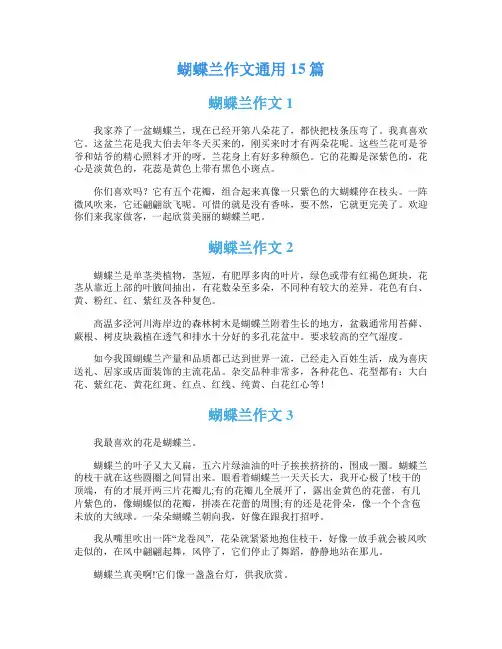 蝴蝶兰作文通用15篇