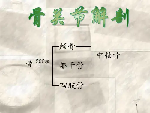 概述常见四肢骨折病人的护理201212PPT课件