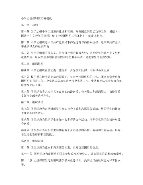 小学团组织制度汇编模板