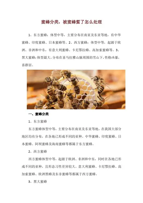 蜜蜂分类,被蜜蜂蜇了怎么处理
