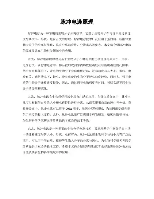 脉冲电泳原理