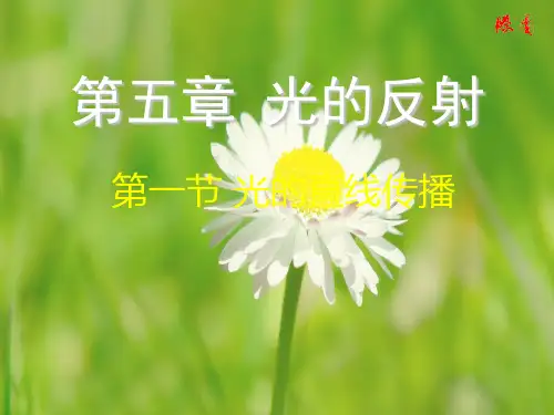 光的反射PPT课件