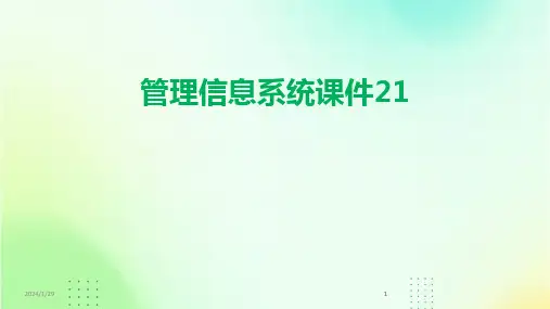 2024版管理信息系统课件21