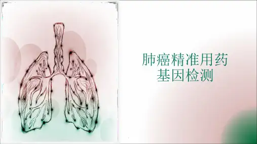 肺癌癌症精准用药基因检测ppt课件