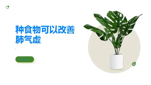 种食物可以改善肺气虚赶紧看看