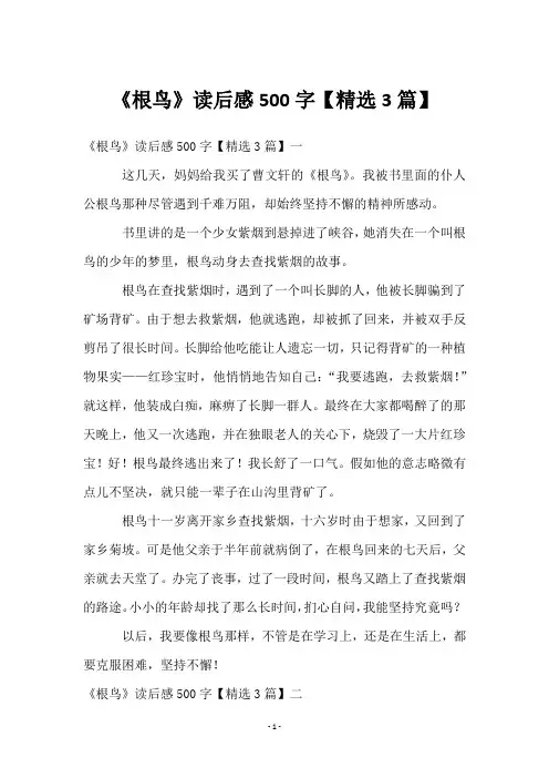 《根鸟》读后感500字【精选3篇】