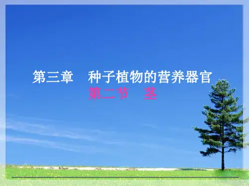 植物学第3章2茎