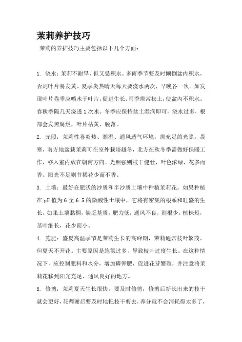 茉莉养护技巧