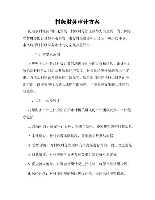 村级财务审计方案