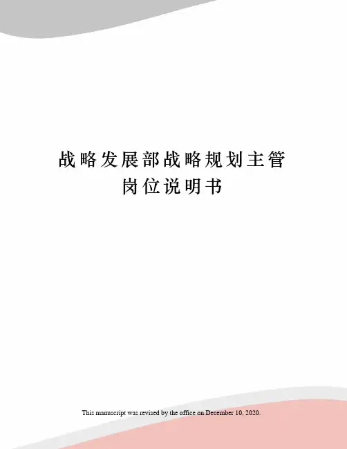 战略发展部战略规划主管岗位说明书
