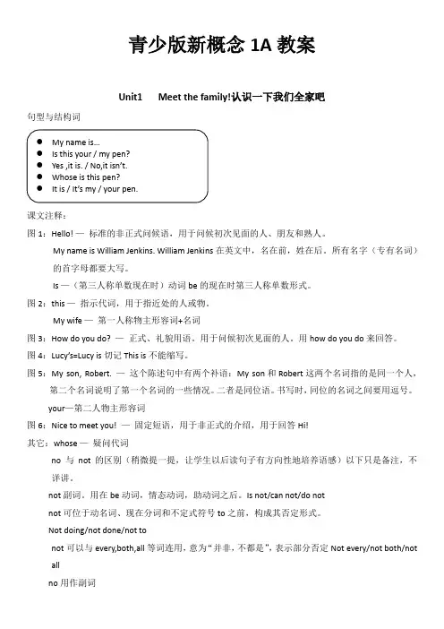 青少版新概念英语1A  Unit 1 教案